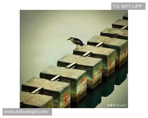 足球球星弟弟们的成长之路：他们如何走出哥哥光环找到自己的人生轨迹